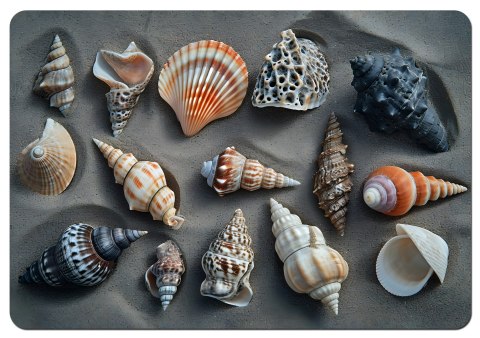 Podkładka prostokątna na stół 29×42 cm, wzór Shells - ekologiczny filc, pranie 40 °C, Bertoni