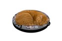 Legowisko dla KOTA /Materac z elastycznej pianki Ring 40 cm Catnip
