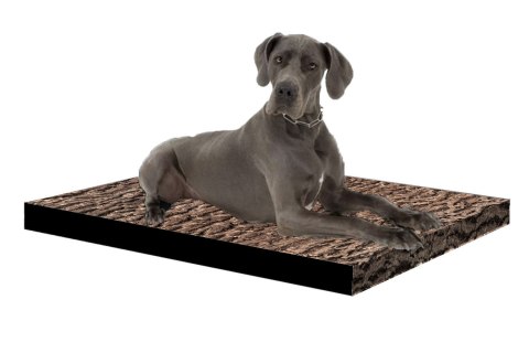 Legowisko materac dla psa XL 80×55×5 cm - pianka memory, wodoodporny pokrowiec, nadruk „Robina", Bertoni