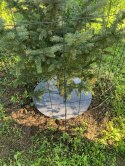 Krążek filcowy podkładka, mata, dysk antychwastowy 60 cm szary - do ściółkowania roślin, drzewek, drzew