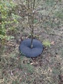 Krążek filcowy podkładka, mata, dysk antychwastowy 60 cm szary - do ściółkowania roślin, drzewek, drzew