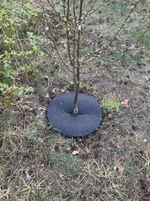 Krążek filcowy podkładka, mata, dysk antychwastowy 60 cm szary - do ściółkowania roślin, drzewek, drzew