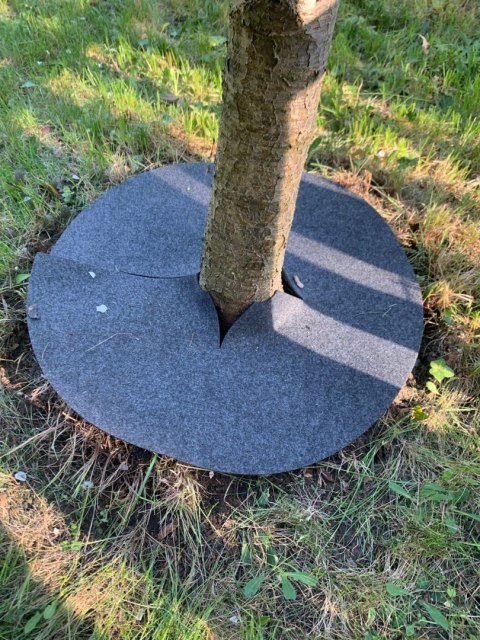 Krążek filcowy podkładka, mata, dysk antychwastowy 60 cm szary - do ściółkowania roślin, drzewek, drzew