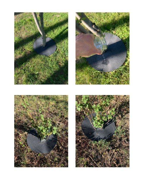 Krążek filcowy zabezpieczający przed chwastami ściółkowanie grafit fi 40 cm