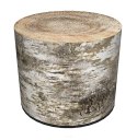 Pufa welurowa, Bertoni, nadruk Brzoza - okrągła pufa dekoracyjna, do salonu, walec 40cm, elegancka, zamek błyskawiczny