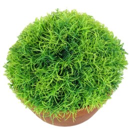 Sztuczna Roślina Dekoracyjna - Trawa w Ceramicznej Doniczce 25cm