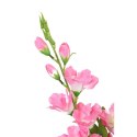 Bukiet 5 jasno różowych gladioli