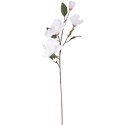 Gałązka 4 magnolii w kolorze białym