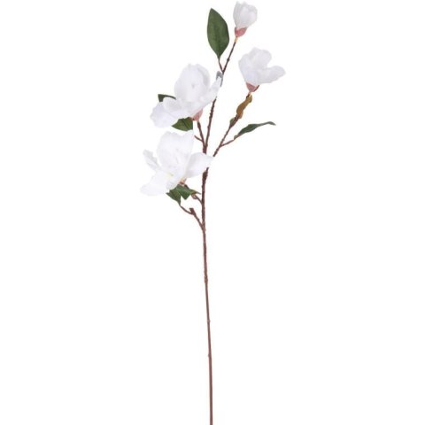 Gałązka 4 magnolii w kolorze białym
