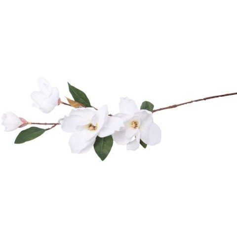 Gałązka 4 magnolii w kolorze białym