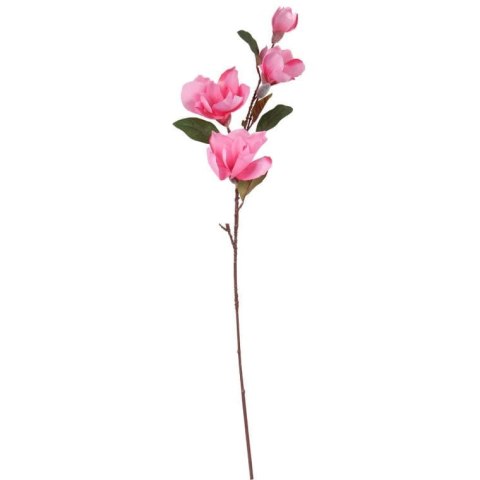 Gałązka 4 magnolii w kolorze różowym