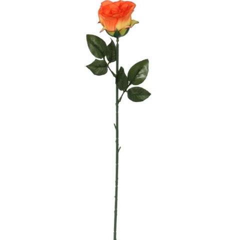 Róża pojedynka w kolorze pomarańczowym 68 cm