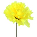 Chryzantema pojedynka bez listka jasno żółta 35 cm